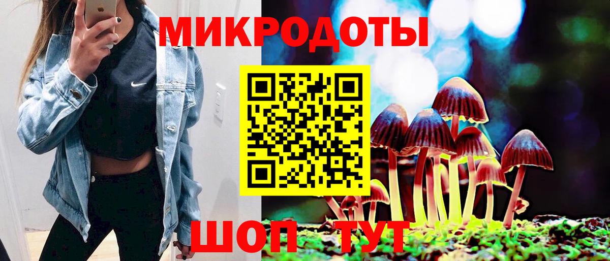 Псилоцибиновые грибы Magic Shrooms  Вход с VPN  Ставрополь 