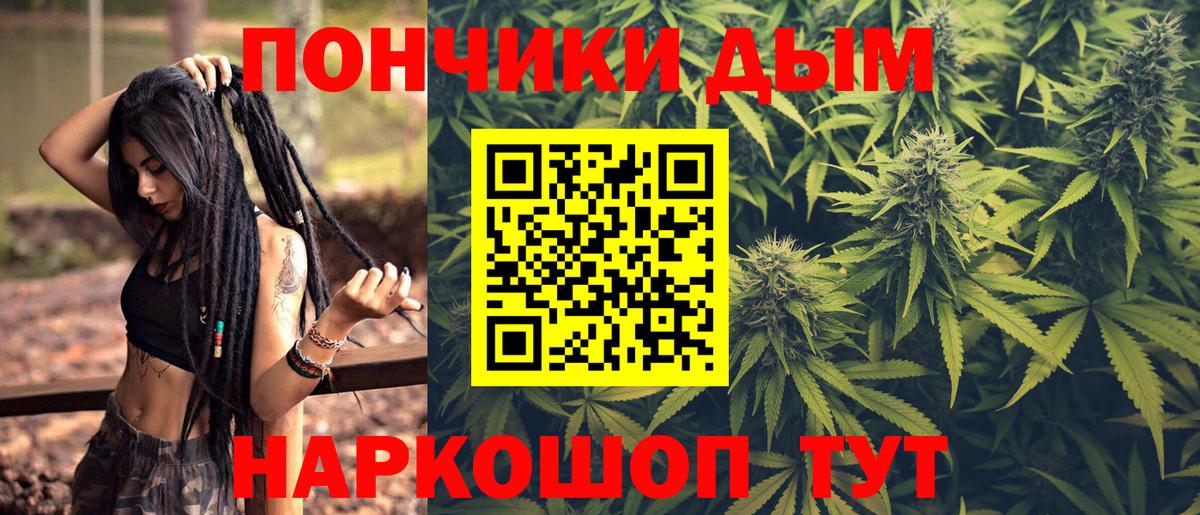 Конопля сатива Ставрополь